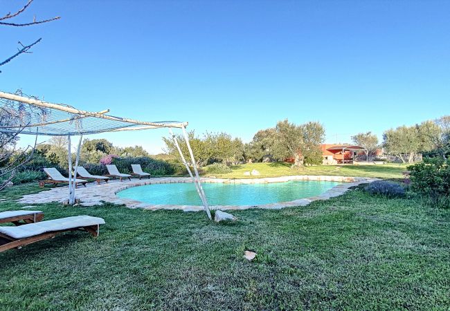 Villa à Cisternino - Grande propriété de trulli avec piscine naturelle