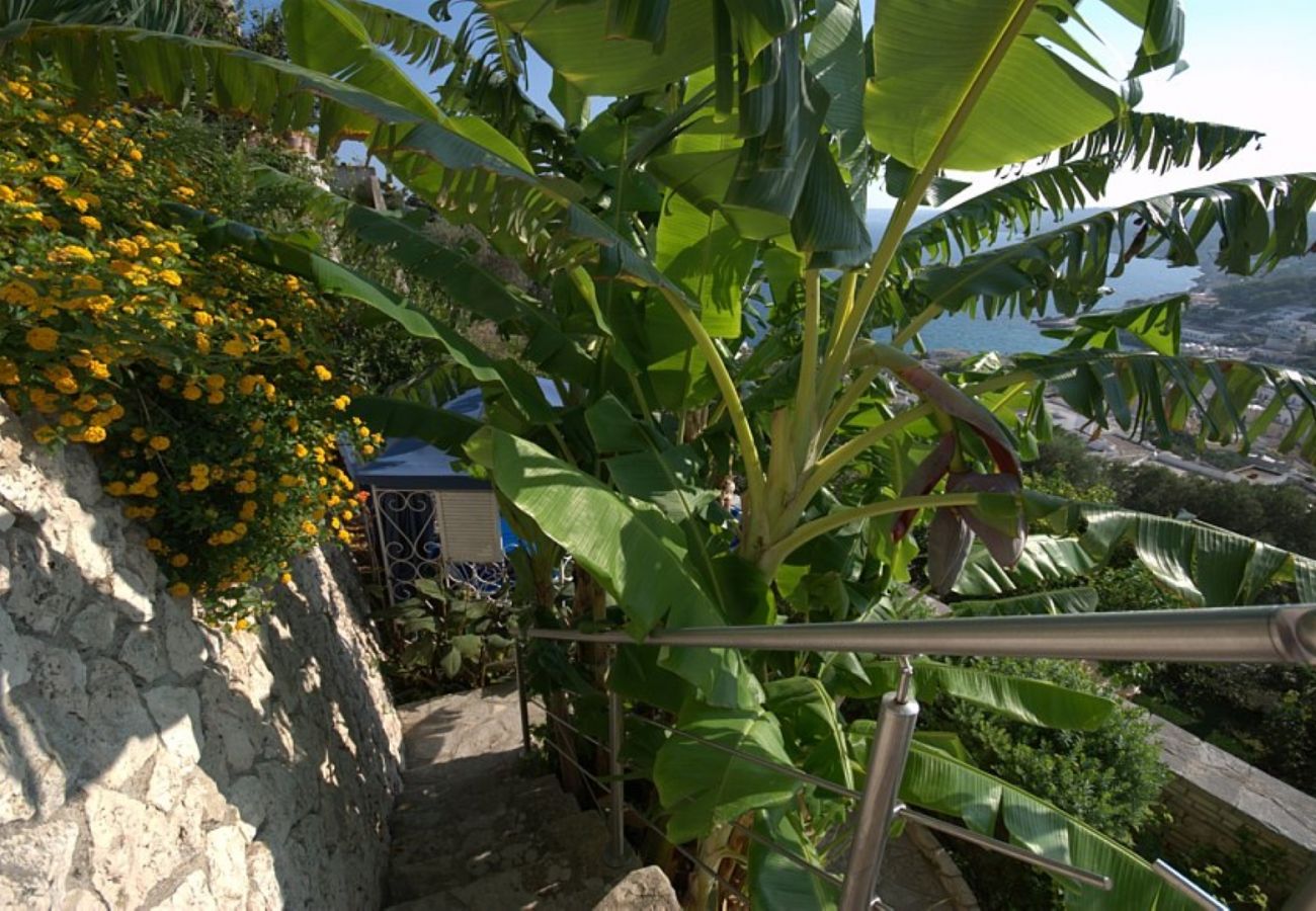 Maison à Castro - Jacuzzi dans la vieille ville avec jardin vue mer