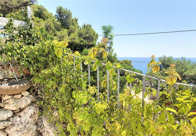 Villa à Marittima - Une perle rare avec piscine chauffée et accès mer