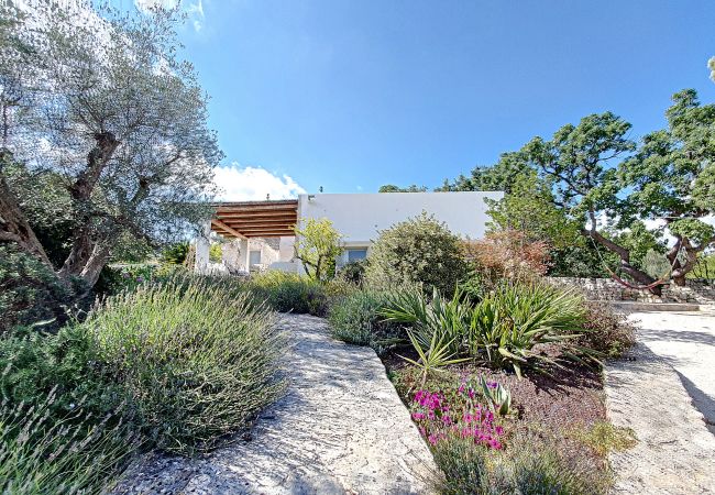 Villa à Cisternino - Superbes trulli de campagne avec piscine privée Villa à Cisternino - Superbes trulli de campagne avec piscine privée
