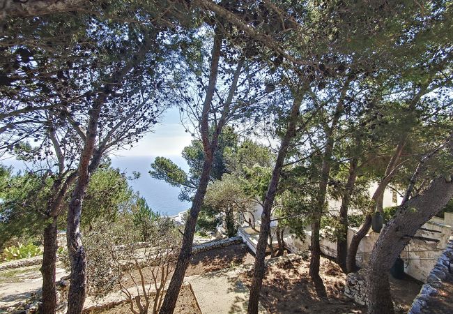 Villa à Leuca - Belle maison sur les falaises avec vue mer à 180° Villa à Leuca - Belle maison sur les falaises avec vue mer à 180°