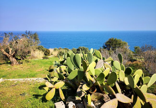 Maison à Corsano - Accès direct mer et minipiscine chauffée Maison à Corsano - Accès direct mer et minipiscine chauffée