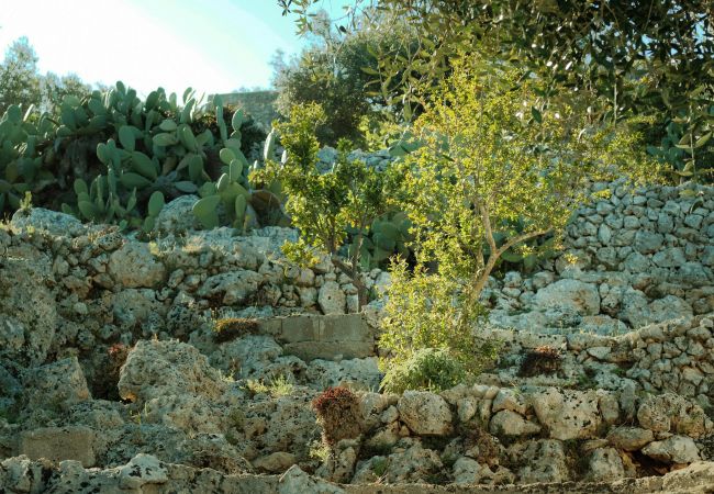 Trullo à Tricase - Jolie maison panoramique à 5 min à pied de la mer