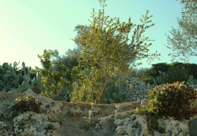 Trullo à Tricase - Jolie maison panoramique à 5 min à pied de la mer