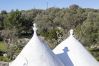 Trullo à Ostuni - Joli trullo blanc avec petite piscine et jardin