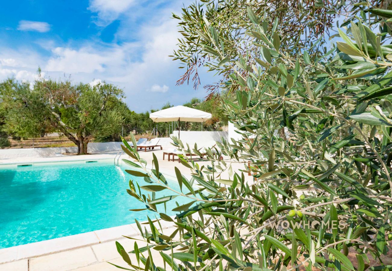 Villa a Leuca - Villa con piscina a sale verde turchese, a pochi minuti d'auto dal mare