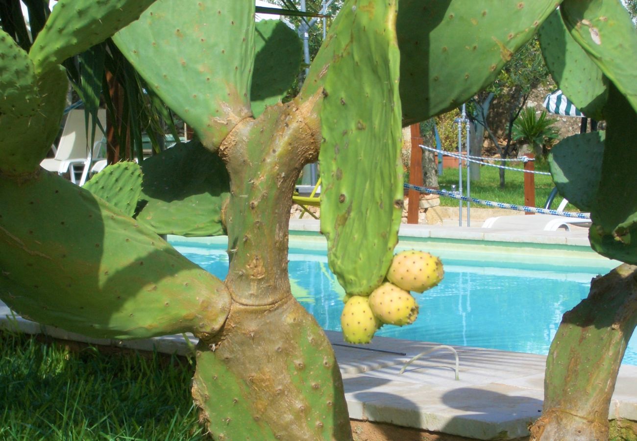 Villa a Patù - Grande dimora di charme con piscina e parco