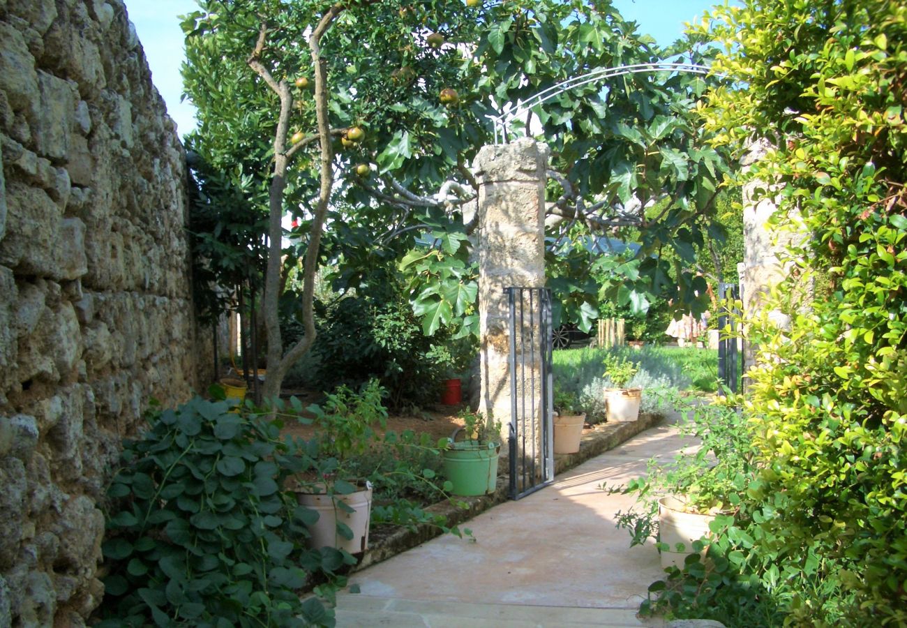 Villa a Patù - Antica dimora di charme con piscina e parco