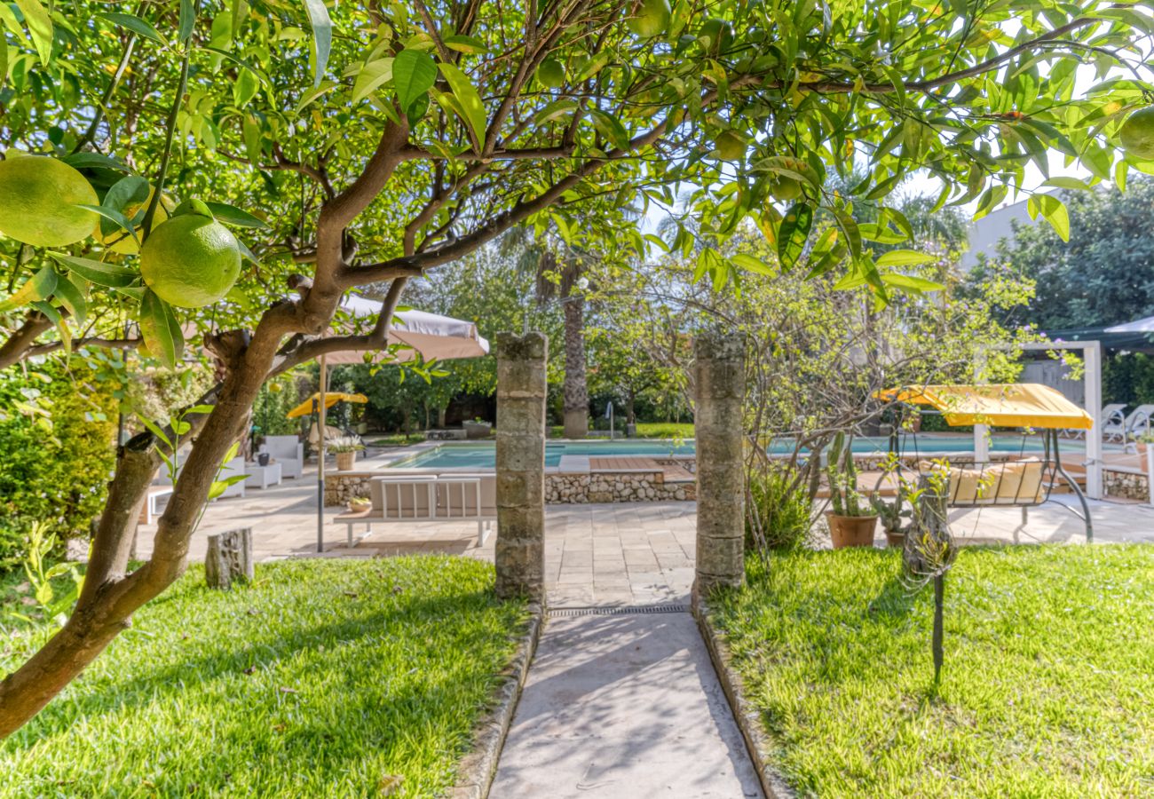 Casa a Patù - Casetta di charme con piscina e parco (D)