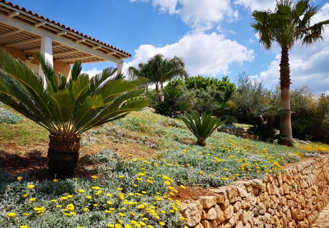 Villa a Pescoluse - Villa vicino spiaggia con jacuzzi e vista mare