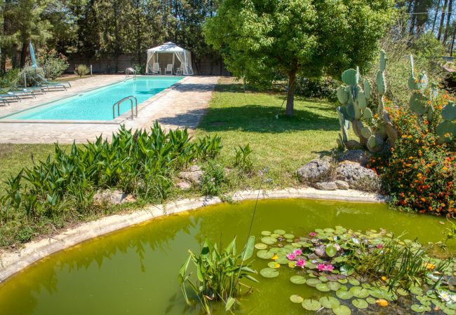 Villa a Galatina - Dimora di campagna con immensa piscina e parco Villa a Galatina - Dimora di campagna con immensa piscina e parco