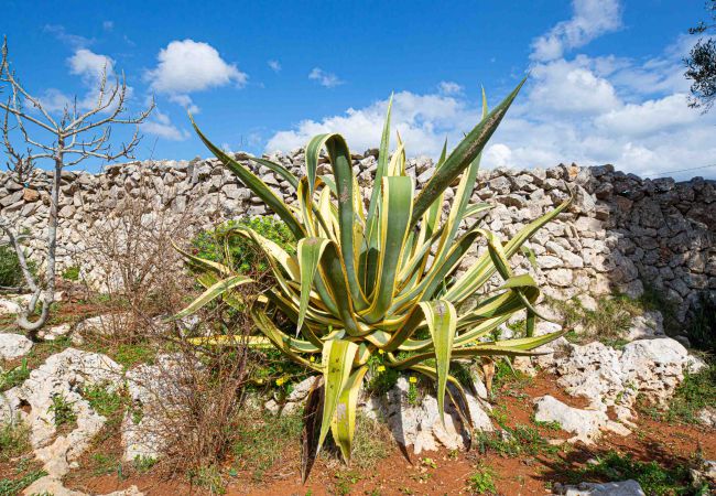 Casa a Gagliano del Capo - Trullo con jacuzzi riscaldata e vista mare a 180° Casa a Gagliano del Capo - Trullo con jacuzzi riscaldata e vista mare a 180°