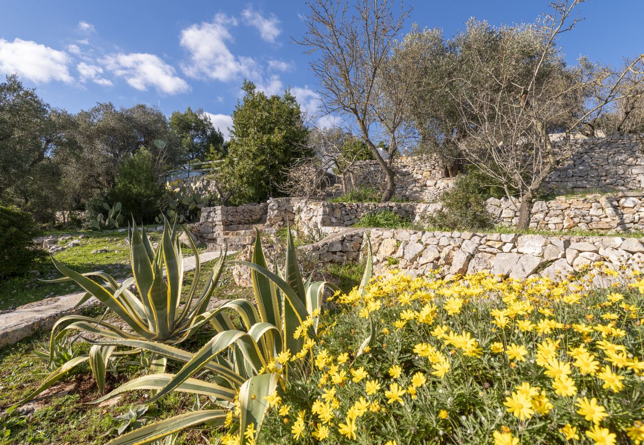 Villa a Ostuni - Graziosa casa di campagna con piscina e giardino