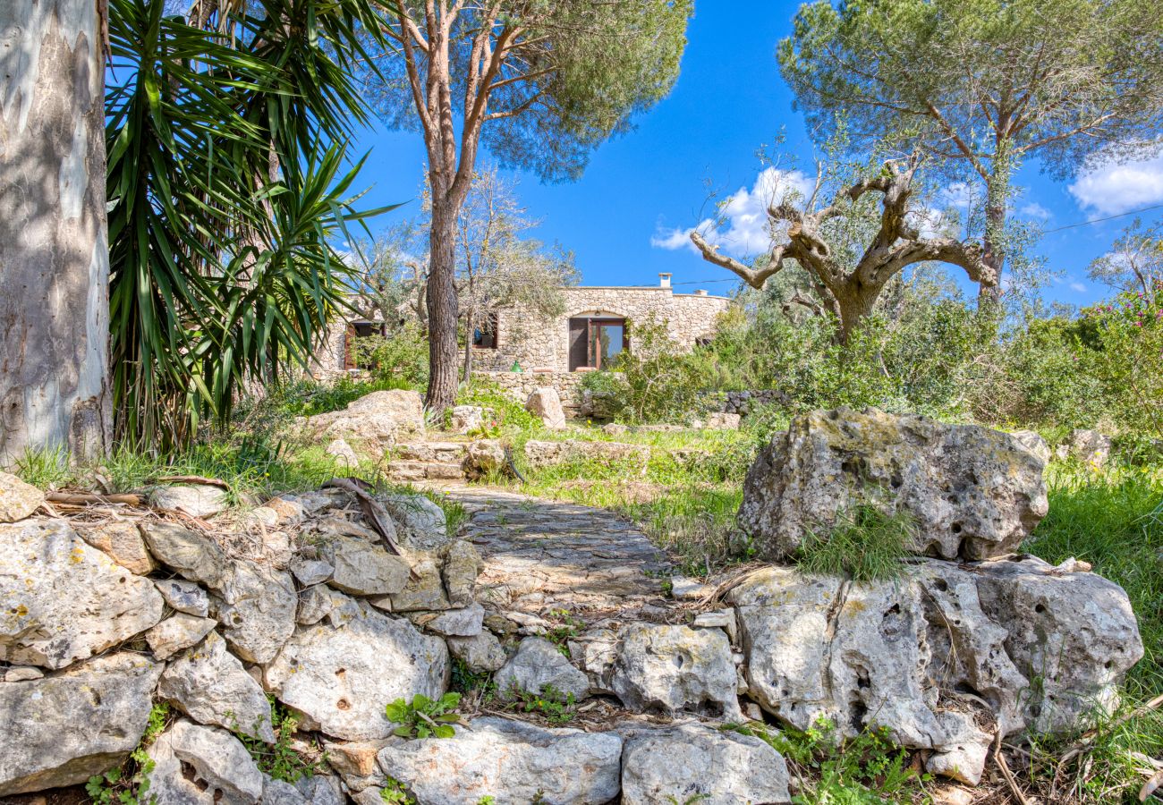 Fattoria a Patù - Graziosa casa in pietra, vista mare e vasca idromassaggio