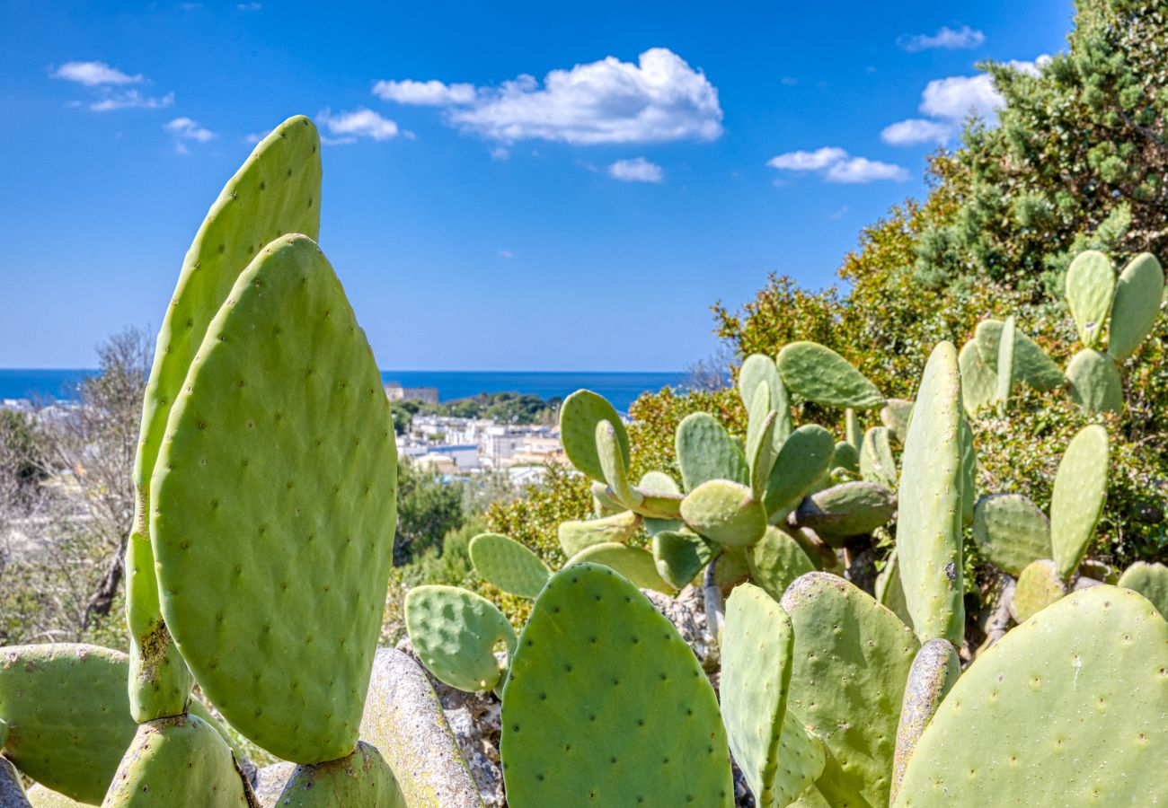 Fattoria a Patù - Graziosa casa in pietra, vista mare e vasca idromassaggio